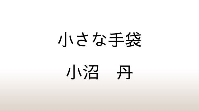 小沼丹「小さな手袋」あらすじと感想と考察