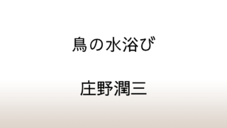 庄野潤三「鳥の水浴び」あらすじと感想と考察