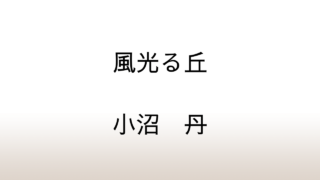 小沼丹「風光る丘」あらすじと感想と考察