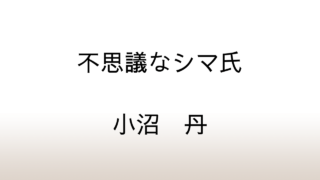 小沼丹「不思議なシマ氏」あらすじと感想と考察