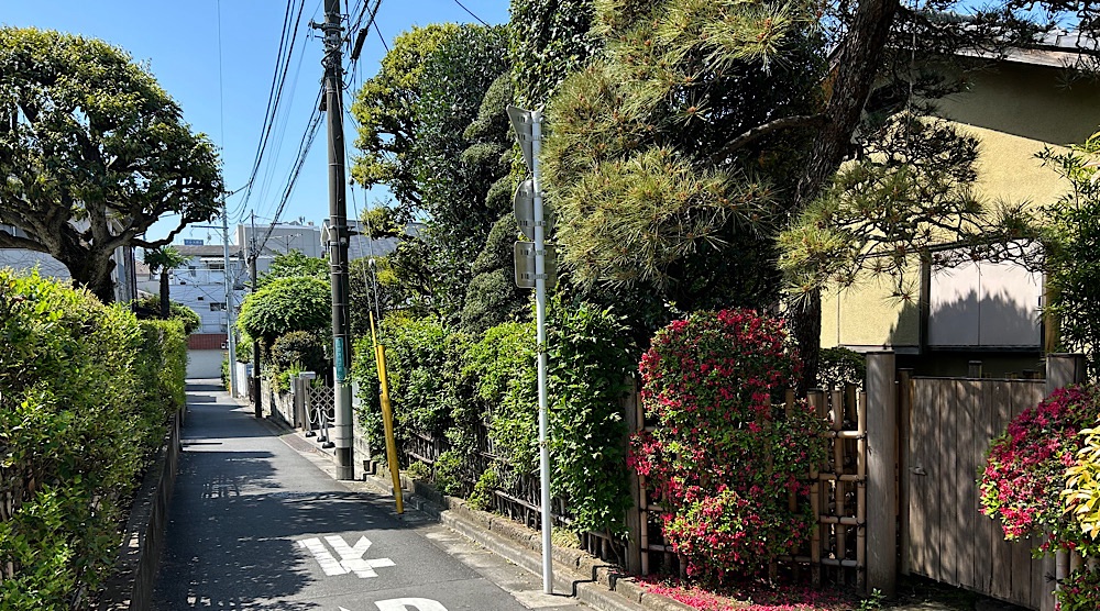 「野方の里」と呼ばれた住宅街。