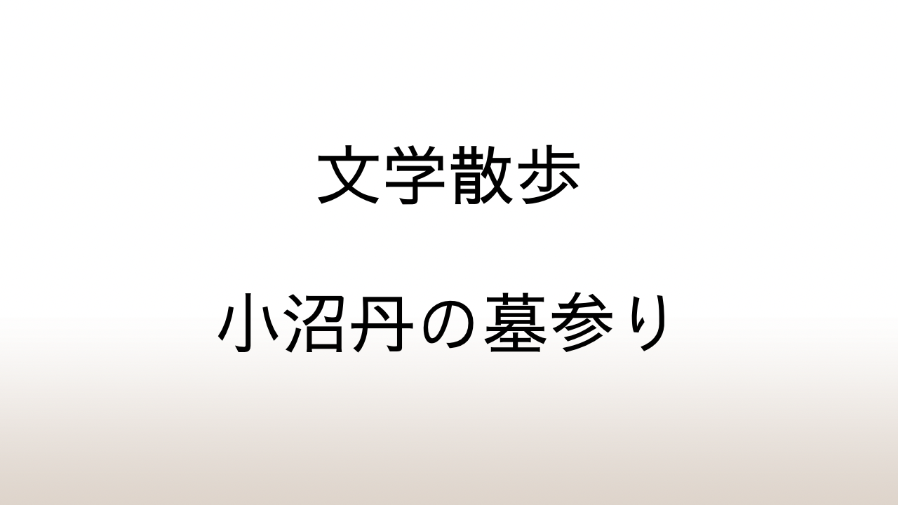 【文学散歩】小沼丹の墓は小平霊園の芝生の墓地にあった