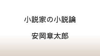 安岡章太郎「小説家の小説論」あらすじと感想と考察