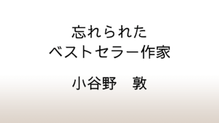 小谷野敦「忘れられたベストセラー作家」あらすじと感想と考察