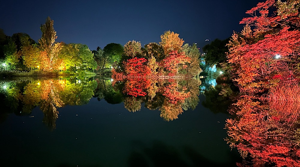 コート必須！紅葉ライトアップと焼き芋テラスで賑わう夜の中島公園を歩いてみたら想像以上に寒かった