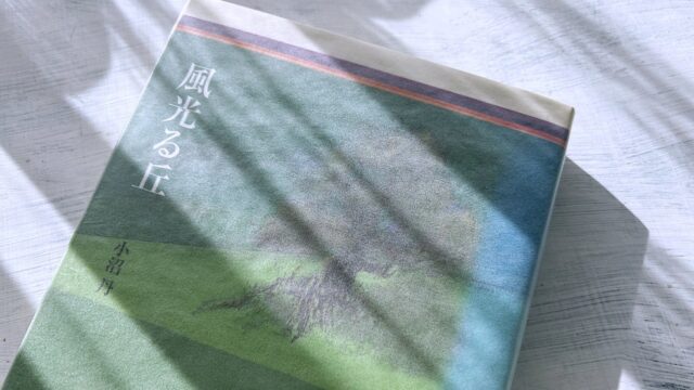 小沼丹「風光る丘」昭和のホームドラマ的な青春小説は甘酸っぱい