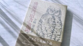 吉岡達夫「仏蘭西「田舎」遺聞」中世ヨーロッパを探してバスク地方を旅する歴史紀行