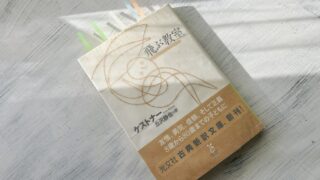 ケストナー「飛ぶ教室」友情・努力・勝利の少年ジャンプみたいなクリスマス物語