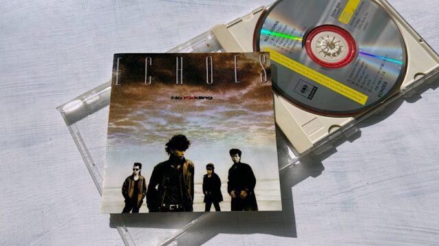 エコーズ「SOMEONE LIKE YOU」君に似た誰かを忘れて、まったく新しい誰かと出会うために