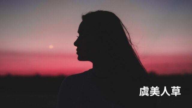 【徹底考察】夏目漱石『虞美人草』なぜ藤尾は憤死したのか？登場人物一覧・あらすじと現代的な読み解き方