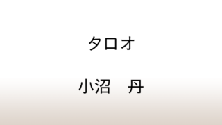 小沼丹「タロオ」あらすじと感想と考察