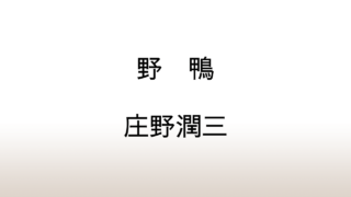 庄野潤三「野鴨」あらすじと感想と考察