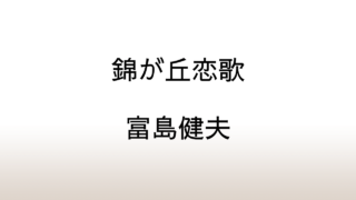 富島健夫「青春の野望Ⅰ・錦が丘恋歌」あらすじと感想と考察