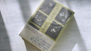 庄野潤三「鳥の水浴び」小さな日常の積み重ねの中にある家族の歴史