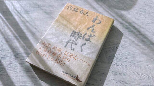 佐藤春夫「わんぱく時代」少年時代の故郷・新宮を象徴するのは初恋の少女だった