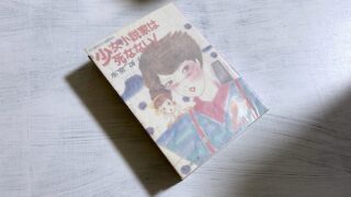 氷室冴子「少女小説家は死なない！」80年代のライトノベルを勉強したい人は絶対読むべき