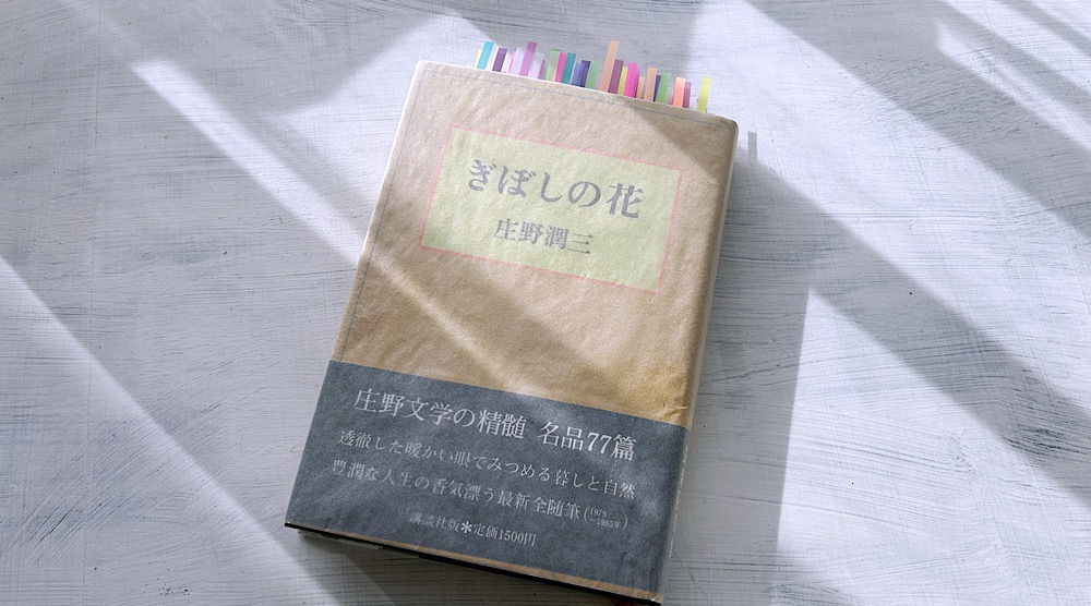 庄野潤三「ぎぼしの花」熟練の技術が際立つ人生の随筆集