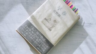 庄野潤三「早春」第二の人生を迎えた男たちの青春物語─洗練された聞き書き小説の完成形