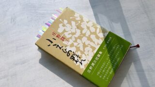 庄野潤三『小えびの群れ』普通の生活の中にある小さなドラマから生まれた物語