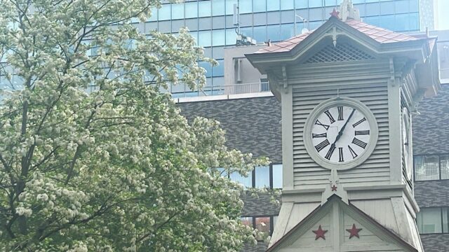 6月の札幌はアカシヤの季節。白い花咲くアカシヤの名所を名作を訪ねて歩いてみた。