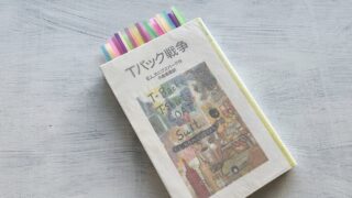 カニグズバーグ「Tバック戦争」現代の魔女狩りと戦った少女の自分探しの夏休み