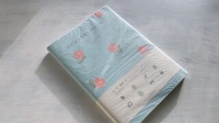 佐々木ルリ子『レトロなつかしダイアリー』インスタ感覚でちょっと懐かしいものを紹介！